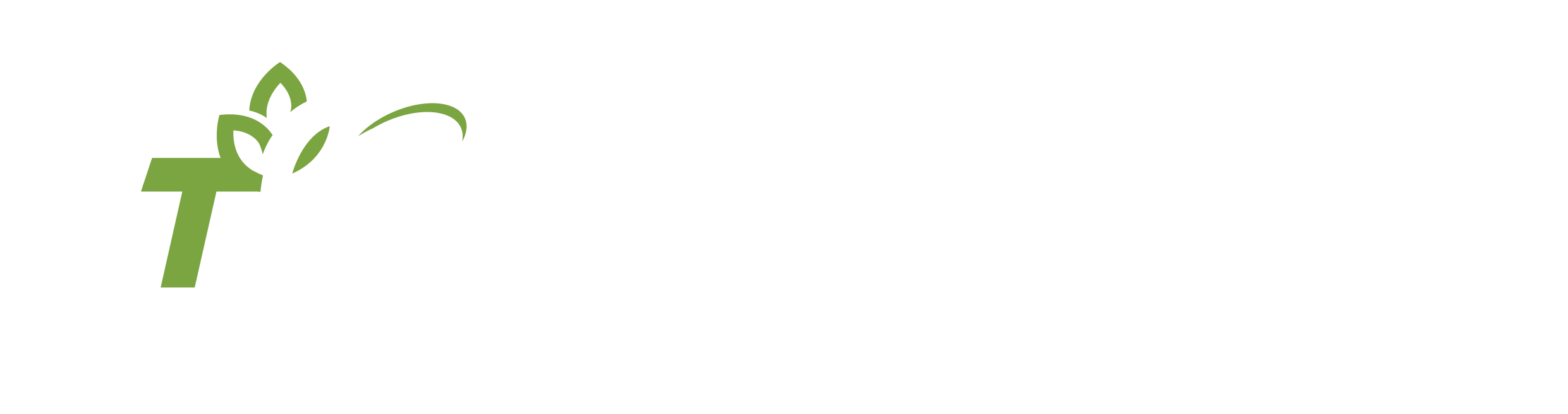 tzfoodagro.com